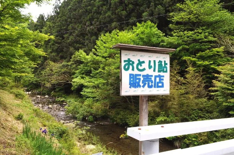 ホテル Nature Resort In Shimanto