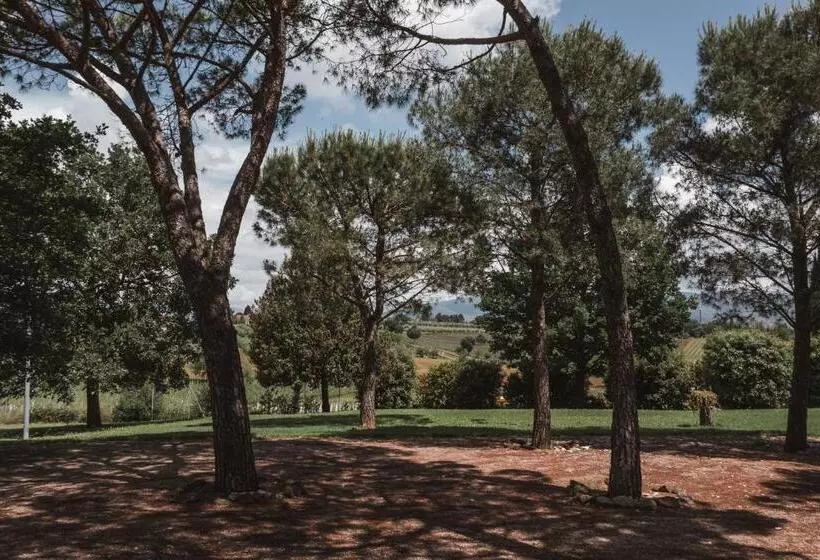 田舎風ホテル Agriturismo S.angelo