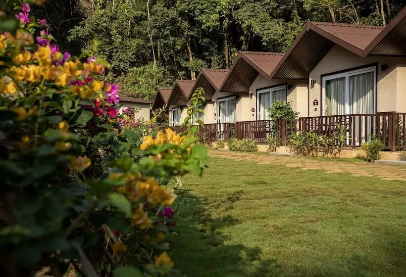 Hotelli Stone Wood Nature Resort