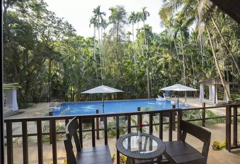 Hotelli Stone Wood Nature Resort