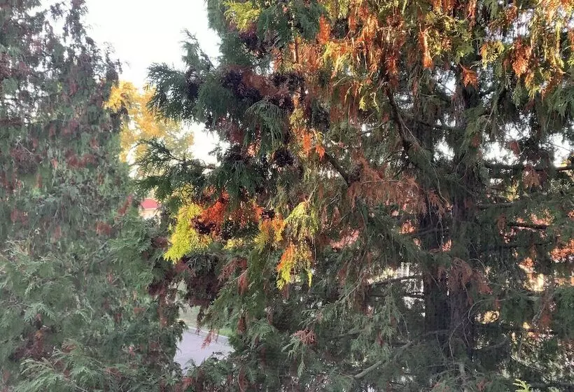 Hotelli Swedish Village