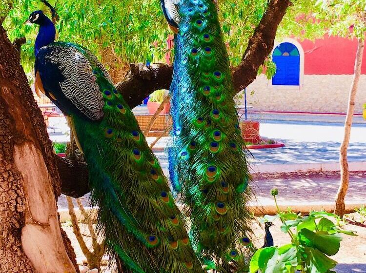 بنسيون Camping Hotel Le Calme