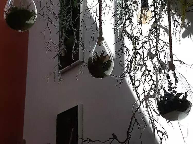 Majatalo La Villanelle Chambres D Hotes Et Institut Bien Etre