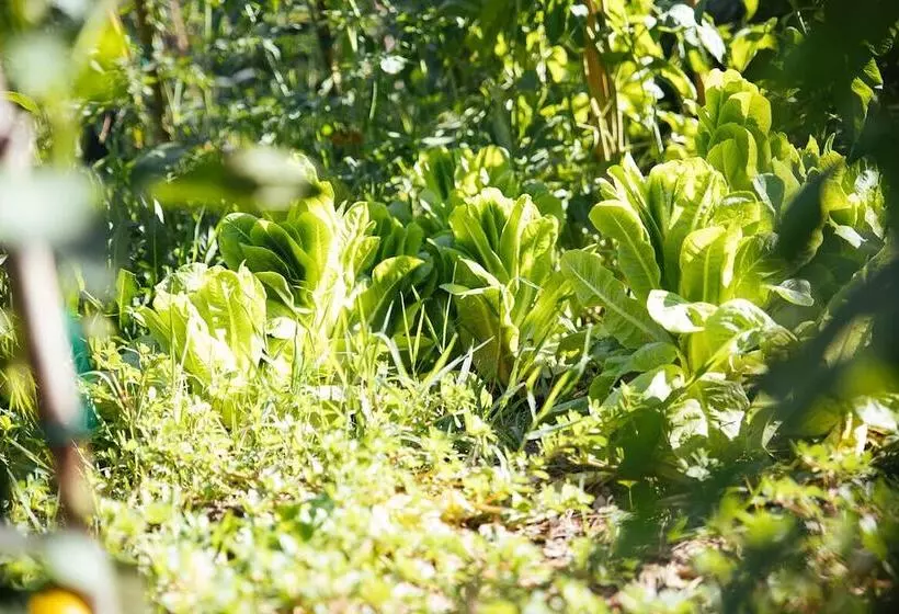 ペンション Villa De Castelletta