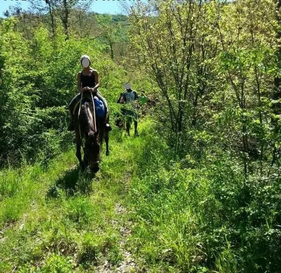 B&b Il Girasole   A Casa Di Ale