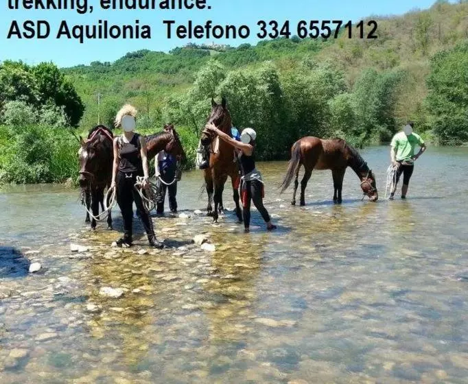 B&b Il Girasole   A Casa Di Ale