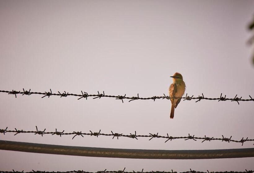 Holiday Valley Hotels And Resorts