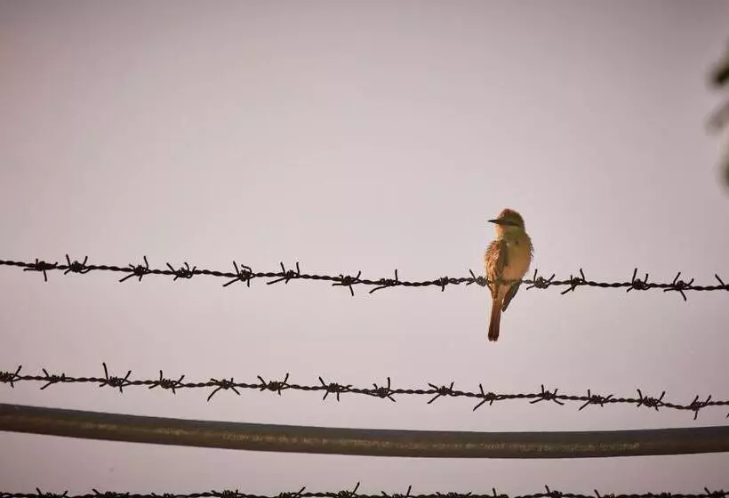 Holiday Valley Hotels And Resorts