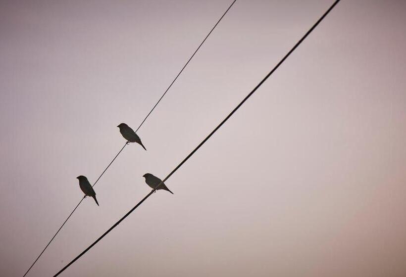 Holiday Valley Hotels And Resorts