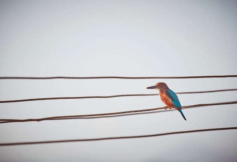 Holiday Valley Hotels And Resorts