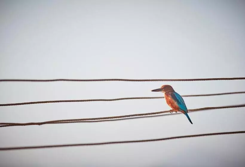 Holiday Valley Hotels And Resorts