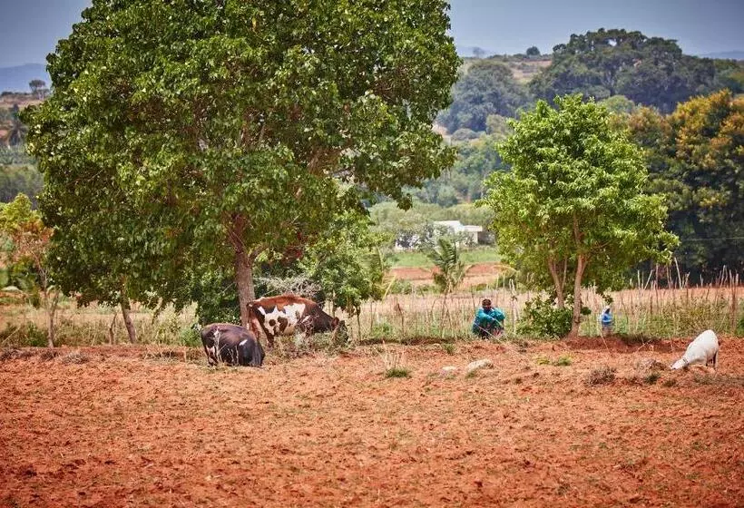 Holiday Valley Hotels And Resorts