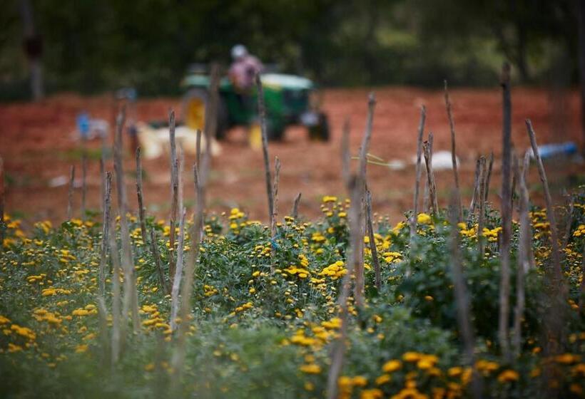 Holiday Valley Hotels And Resorts