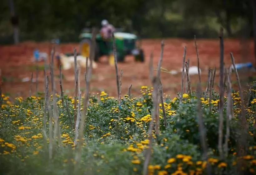 Holiday Valley Hotels And Resorts