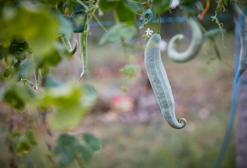 Holiday Valley Hotels And Resorts