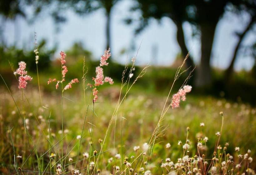 Holiday Valley Hotels And Resorts