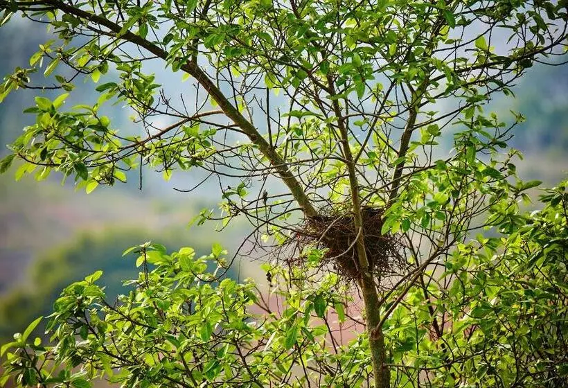 Holiday Valley Hotels And Resorts