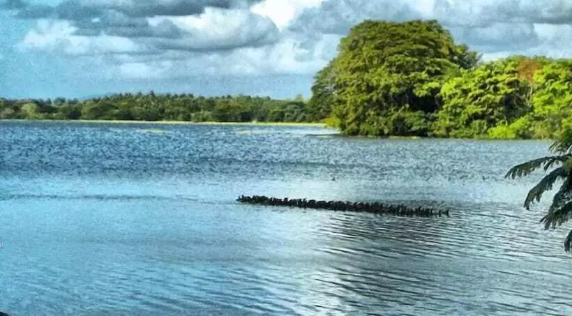 هتل Buddi Samudra