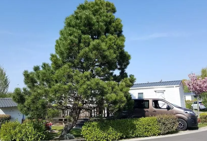 Hotelli Camping   Caravaning Les Cerisiers Berck Sur Mer