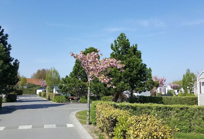 Отель Camping   Caravaning Les Cerisiers Berck Sur Mer