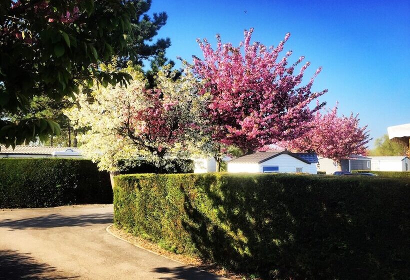 Отель Camping   Caravaning Les Cerisiers Berck Sur Mer