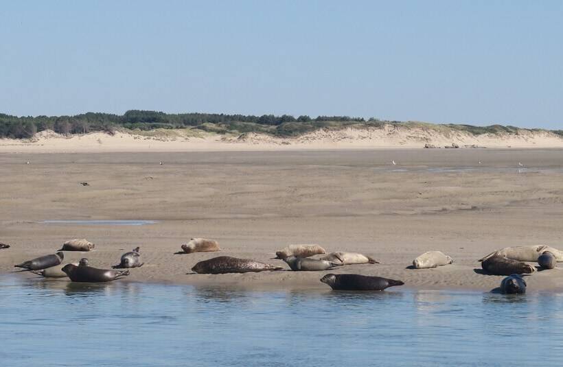 Отель Camping   Caravaning Les Cerisiers Berck Sur Mer