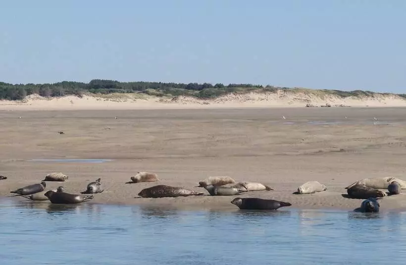 Hotelli Camping   Caravaning Les Cerisiers Berck Sur Mer