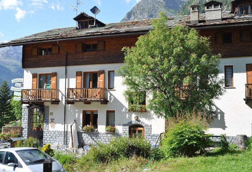 Отель Flora Alpina