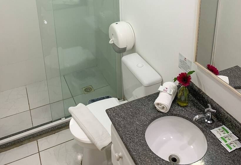 Отель Pousada Rosa