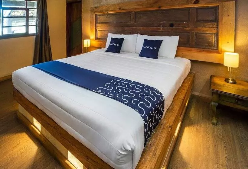 ホテル Pozo Viejo