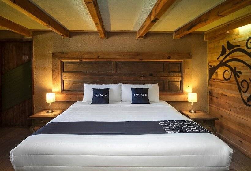 בית מלון כפרי Pozo Viejo