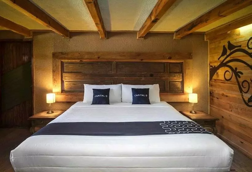 ホテル Pozo Viejo