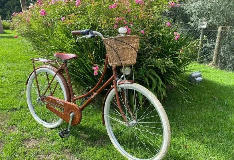 ホテル Vinícola Davo