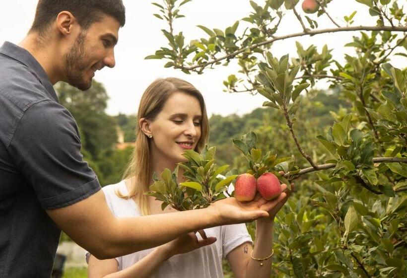 Отель Vinícola Davo