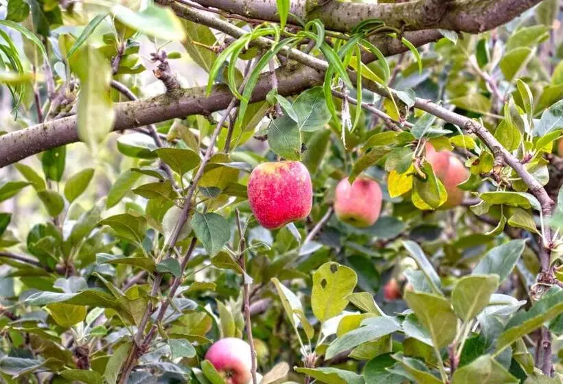 ホテル Vinícola Davo