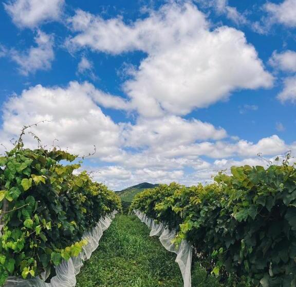 Отель Vinícola Davo