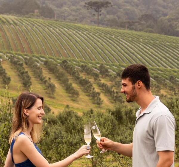 Отель Vinícola Davo