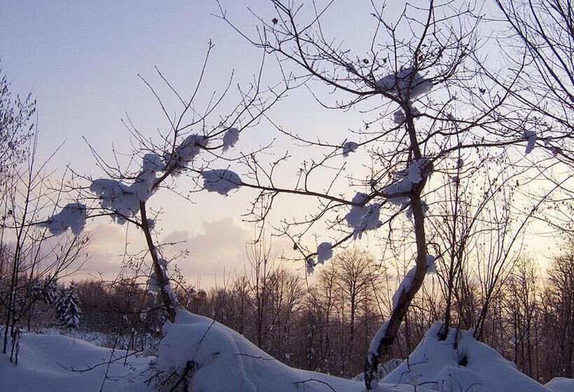 Пансион Pas De Deux