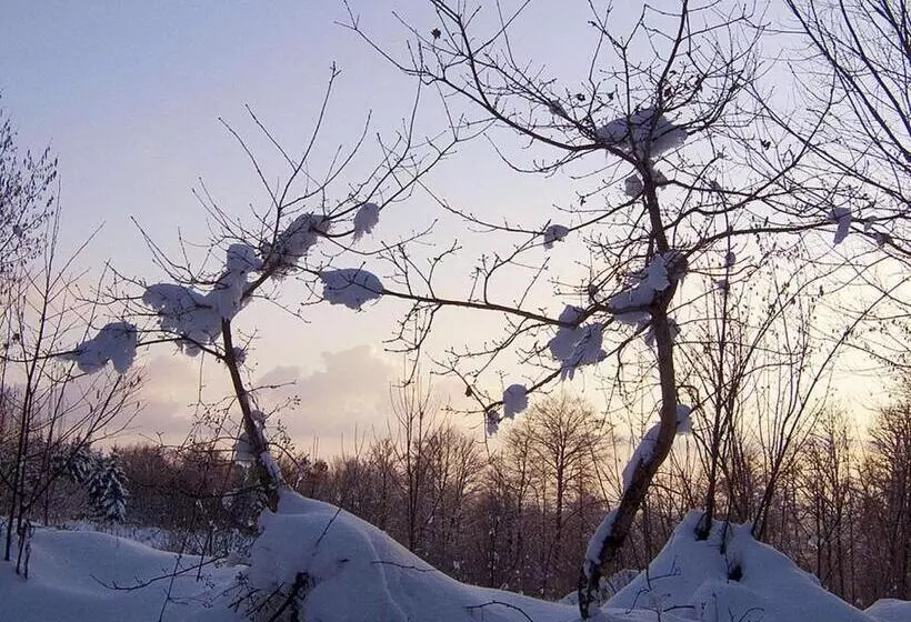 Majatalo Pas De Deux