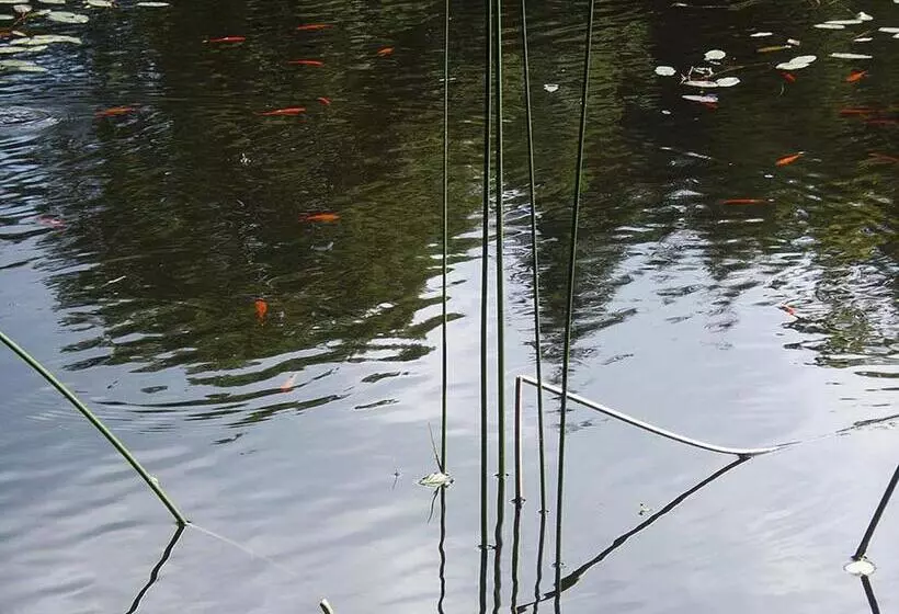 Majatalo Pas De Deux