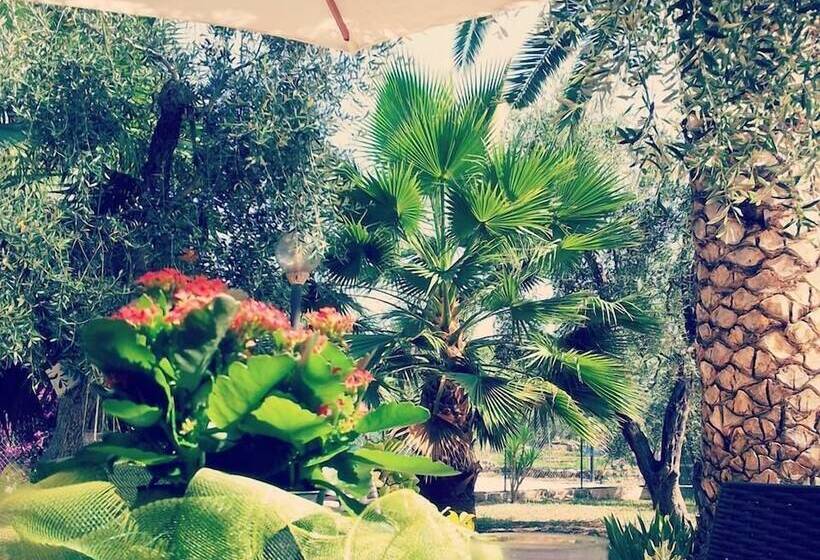 住宿加早餐 Villa Vale Mery