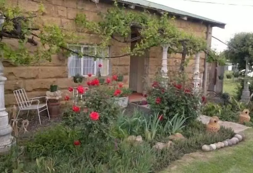 ホテル Rosenhof Country Lodge