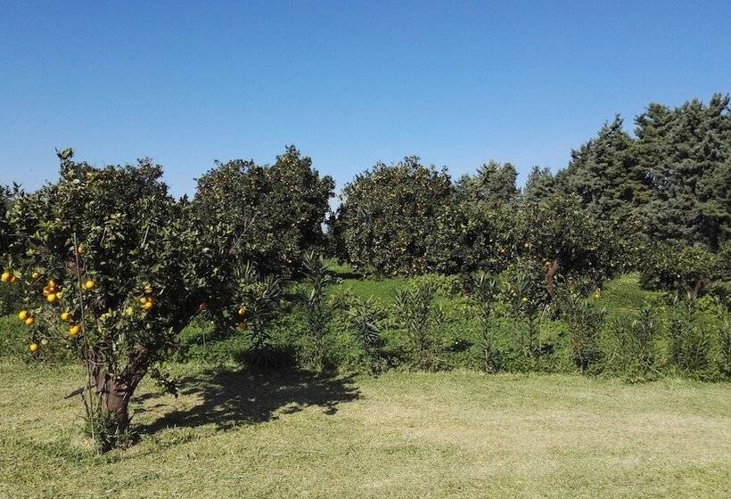 فندق ريفى Tenuta San Calogero