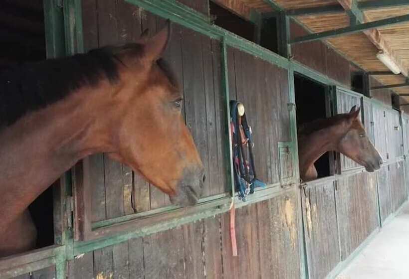 فندق ريفى Tenuta San Calogero