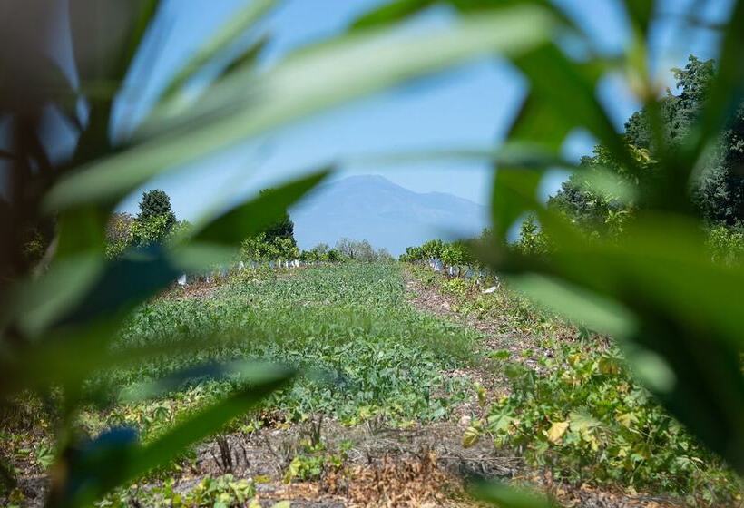 فندق ريفى Tenuta San Calogero