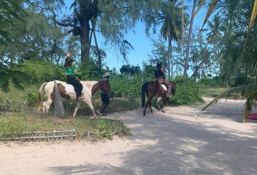 ホテル Ulala Lodge