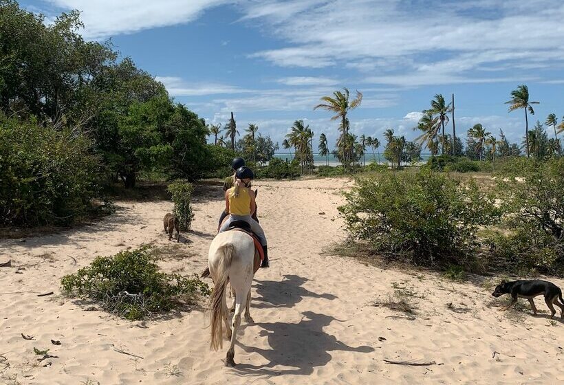 ホテル Ulala Lodge
