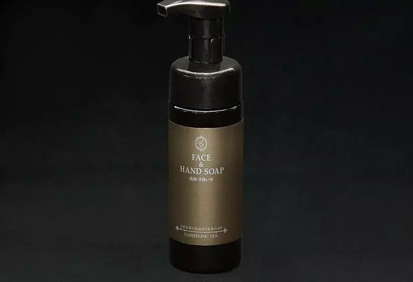 Smile Hotel Fukuoka Okawa