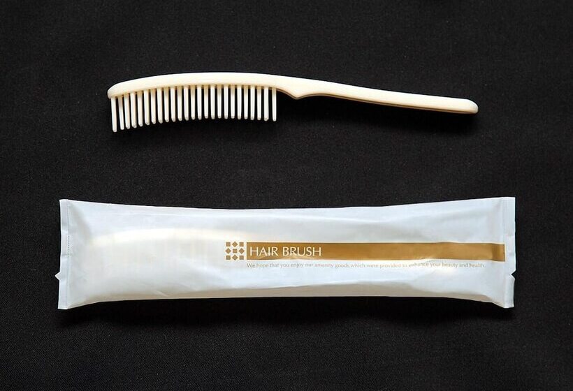 Smile Hotel Fukuoka Okawa