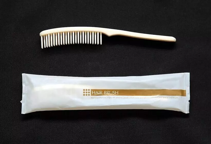 Smile Hotel Fukuoka Okawa